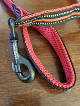 Truelove suave acolchado de malla de correa de perro 3M Nylon reflectante perro correa para mascotas 11 Color 110cm de longitud a la formación