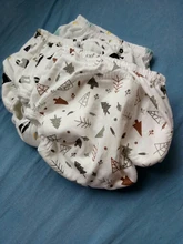 Lote de 5 pañales reutilizables para bebé, pantalones de entrenamiento, ropa interior lavable