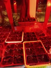 Phyto-Lamp Grow-Light Flower Seedlings Goodland USB Full-Spectrum For Plants LED 