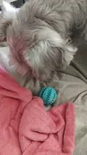 Bolas de juguete para mascotas, juguete para masticar, bolas duraderas de caucho para mascotas, pelota elástica para perros pequeños para liberar la presión