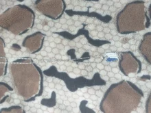 Colgante con diseño de animación de ataque al collar de titanio, cadena con diseño de alas de la libertad, de Metal, Unisex, para Cosplay, cuerpo de vigilancia, Erwin