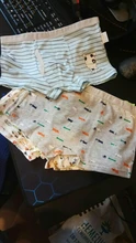 2pc/Lot Boys Panties Cotton Boxer Shorts Young Briefs Kids  Baby Girl Clothes