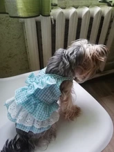 Dress Pet-Clothing Puppy-Cat-Dresses Chihuahua Princess Yorkshire Dogs Small Medium 