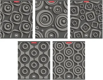 

Notebook general 96L monochrome, Cage, silver erichkrause 45134ek