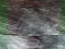 5,5mm 7mm cámara HD para endoscopia endoscopio USB con 6 LED 1/1 5/2M Cable suave inspección impermeable boroscopio para Android PC