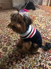 Dog Winter Sweater Pet-Dog Puppy-Cat Knitted Chihuahua for Small Clothing Ropa-Perro