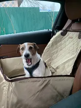 Funda de asiento de nailon 900D impermeable para mascotas, tapete de transporte al aire libre, accesorios de viaje para coche, bolsa para perro