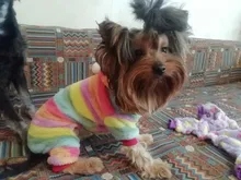 Soft Dog Pajams Fleece Dog Clothing For Dogs Jumpsuits Coat Warm Pet Dog Clothes For