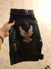 Jacket Dog-Coat Puppy Eagle-Pattern Waterproof Outdoor Outerwear Pet Small Soft Fashion