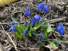 Tornillo hexagonal de acero inoxidable, cabeza de oblea superplana, ultrafina, tornillo Allen, M1.6, M2, M2.5, M3, M4, M5, M6, 304, 10/50 Uds.