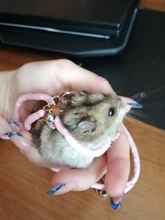 Rope-Gerbil Hamster Pet-Cage Adjustable Lead-Collar Leash for Rat-Mouse Cotton