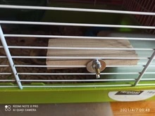 Soporte de madera plataforma juguetes pájaros mascotas estante para el loro hámster perchas pata molienda jaula limpia accesorios para jerbos ratones juguetes de madera