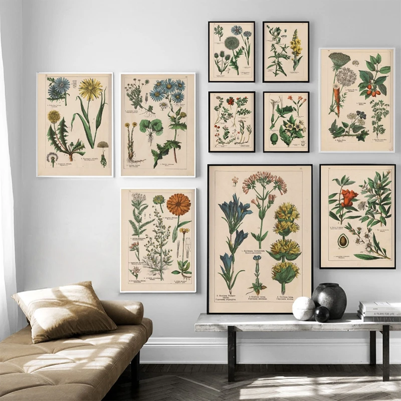Vintage Botanical Herbs Posters and Prints Home Wall Decor , Antique ...