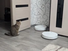 Xiaomi Mi Robot Vacuum Cleaner G1 Mop Essential for Home Smart Wireless Sweeping Cleaning