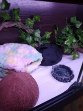 Vine Terrarium-Decoration Rest-Plants Reptile-Lizards Artificial Climb Chameleons Leaves