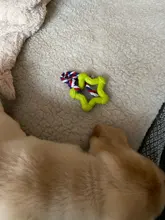 Dog-Toys Pet-Supplies Squeaky Toy Tooth-Cleaner Training Puppy-30 Playing Dogs Small