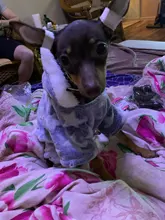 Pijamas de perros para otoño e invierno, Mono para perros pequeños, jerseys Shih Tzu Yorkshire, ropa de lana suave para cachorros y gatos