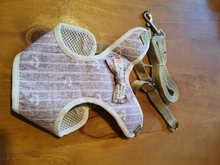 Perro pequeño conjunto de arnés y correa chaleco para gatos mascota Arnés con Bowknot acolchado de malla Pet pistas para pequeño cachorro perros Chihuahua Yorkie