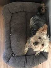 S-3XL Del Color Del Caramelo de la Pata del Animal Doméstico Sofá Camas Para Perros Impermeable Inferior Suave Fleece Caliente de la Casa Cama del Gato