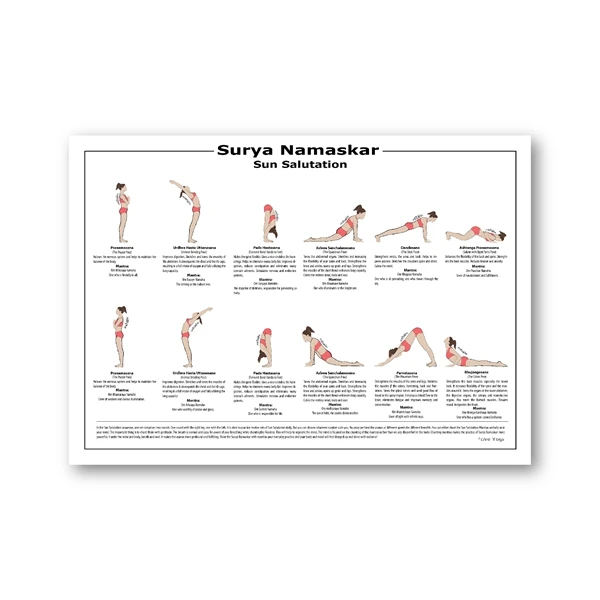 yoga-poster-surya-namaskar-sequence-sun-prints-a2-hatha-yoga-asanas-chart-canvas-painting-yogis-gift-yoga-gym-wall-art-decor