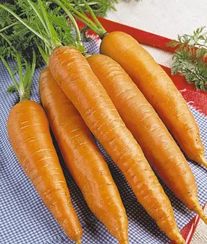 

Carrot seeds. Флакке