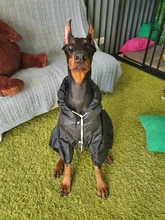 Jacket Rain-Coat Labrador Alaska Puppy-Doberman Waterproof Dogs Large Medium Husky TLC02
