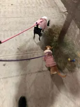 French Bulldog Small Dogs Pugs Winter For Chihuahua Outfit Pink Warm Clothing Roupa Pet-38s2