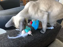 Funny Pet Toys Cartoon Cute Bite Resistant Plush Squeaky Toy Pet Chew Toy For Cats Dogs