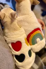 Costume Puppy-Clothes Love-Rainbow-Vest PETCIRCLE Pet-Cat Dog Winter New Fit And Four-Color