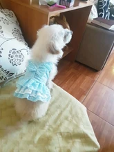 Dress Pet-Clothing Puppy-Cat-Dresses Chihuahua Princess Yorkshire Dogs Small Medium 