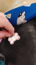 Etiquetas de identificación del perro de mascota antipérdida, accesorios de Collar de gato, decoración, etiqueta de identificación para perros, Collar de aleación de Zinc, grabado de personalización gratuita