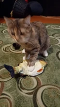 Fish-Toys Simulation Biting-Supplies Electric Playing Dog-Cat-Chewing 30CM for Pet-Cat-Toy