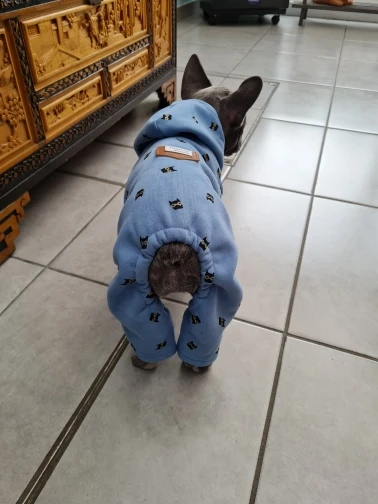 Cute Dog Jumpsuit with Hood photo review