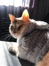 Ropa de Gato caliente para mascotas, abrigo, chaqueta para perros pequeños, medianos, gatos, Chihuahua, ropa de Yorkshire, disfraz rosa, S-2XL