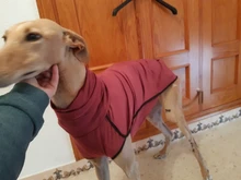 Clothing Pullovers Pet-Coat Pitbull Dogs High-Collar Winter Mascotas Large Medium Big