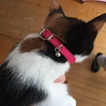 Collar de piel sintética para mascotas, Collar ajustable con cascabel para gatos, rojo, azul, marrón, rosa, talla XS S M