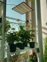 Phyto Lamp Light-Bulb Uk-Plug Grow-Tent Plant Full-Spectrum-Lamp Greenhouses Indoor 2000w Led