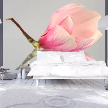 

Wall mural-magnolia flower solitarily-300x231 cm