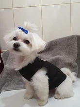 Puppy Shirt Teacup Dog-Vest Yorkie-Bulldog Dogs Pawstrip Summer Pet Small for Teddy