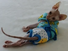 Ropa para perros y gatos traje camisa de chihuahua ropa perro ubranka dla psa honden kleding roupa para cachorro perros pequeños chaleco mascota ropa