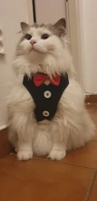 Elegante pajarita arnés tipo chaleco para perro con correa ajustable, Gato conjunto de Correa y arnés lindo arco nudo esmoquin para gatos gatito cachorro