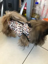 Puppy Vest Coat Clothing Jacket Dogs Chihuahua Waterproof Large Winter Medium Pet-Dog