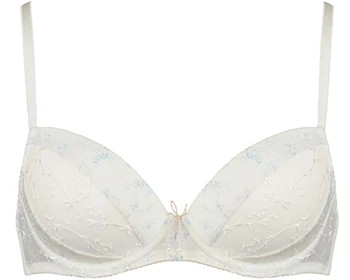 

320045 bra