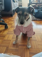 French Bulldog Small Dogs Pugs Winter For Chihuahua Outfit Pink Warm Clothing Roupa Pet-38s2