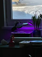 Grow-Light Lamps Timer Flowers Desktop-Clip LED Phyto Full-Spectrum For Plants DC5V USB