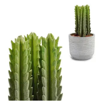 

Cactus Ibergarden Plastic (10 x 20 x 10 cm)