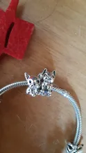 Plata de Ley 925 de un perro historia caniche Cachorro Bulldog Francés perlas encanto Fit BISAER encantos de plata 925 Pulsera Original