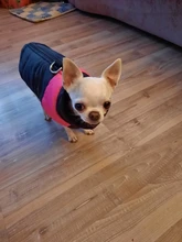 Coat Jacket Puppy-Vest Dogs Waterproof Winter Medium Pet-Dog Zipper Small Large Warm