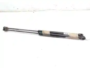 

8200616564 SHOCK ABSORBERS TRUNK PORTON RENAULT SCENIC II