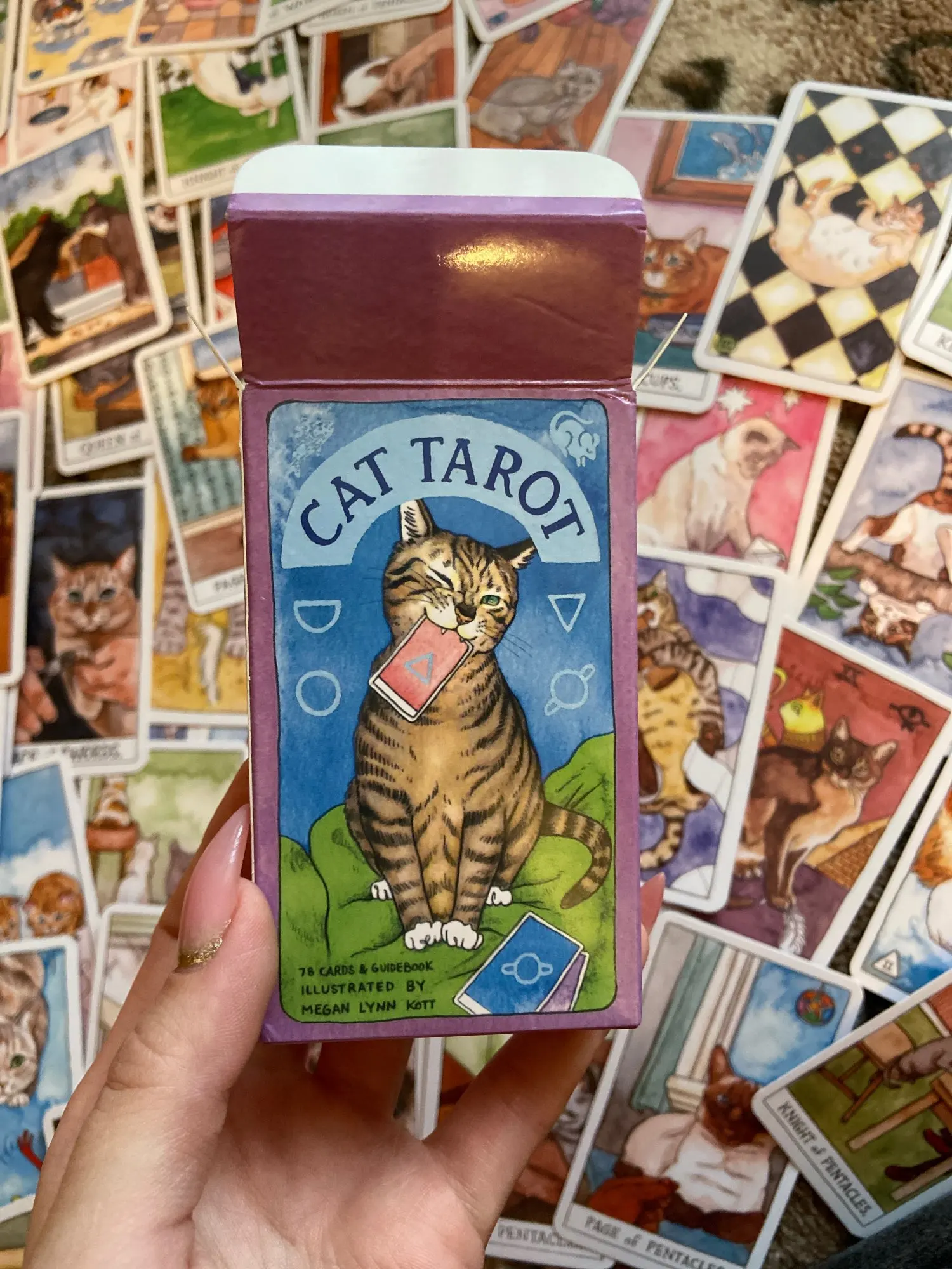 Таро котики